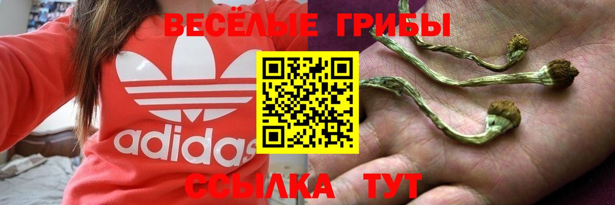 Галлюциногенные грибы ЛСД  Вход с VPN  Псилоцибиновые грибы мицелий  Соликамск 